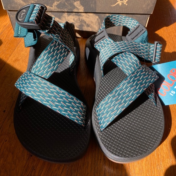 chaco sprink pine